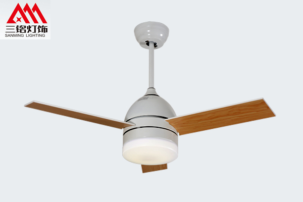 泰州优质风扇灯厂家